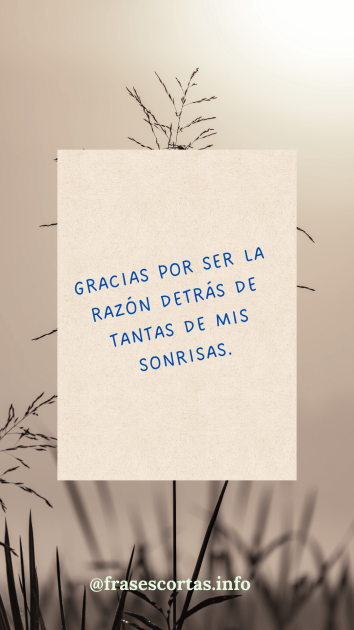 Una imagen con una frase de agradecimiento corta.
