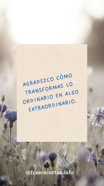 Una imagen con una frase de agradecimiento corta.