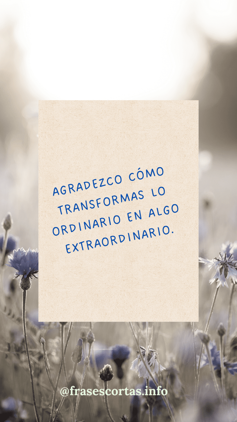 300 Frases de agradecimiento cortas para dar las gracias