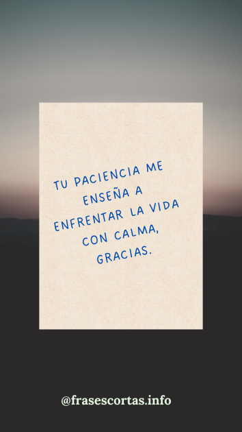 Una imagen con una frase de agradecimiento corta.