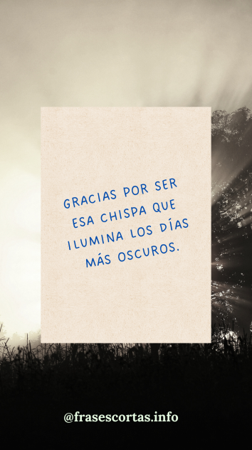 Una imagen con una frase de agradecimiento corta.