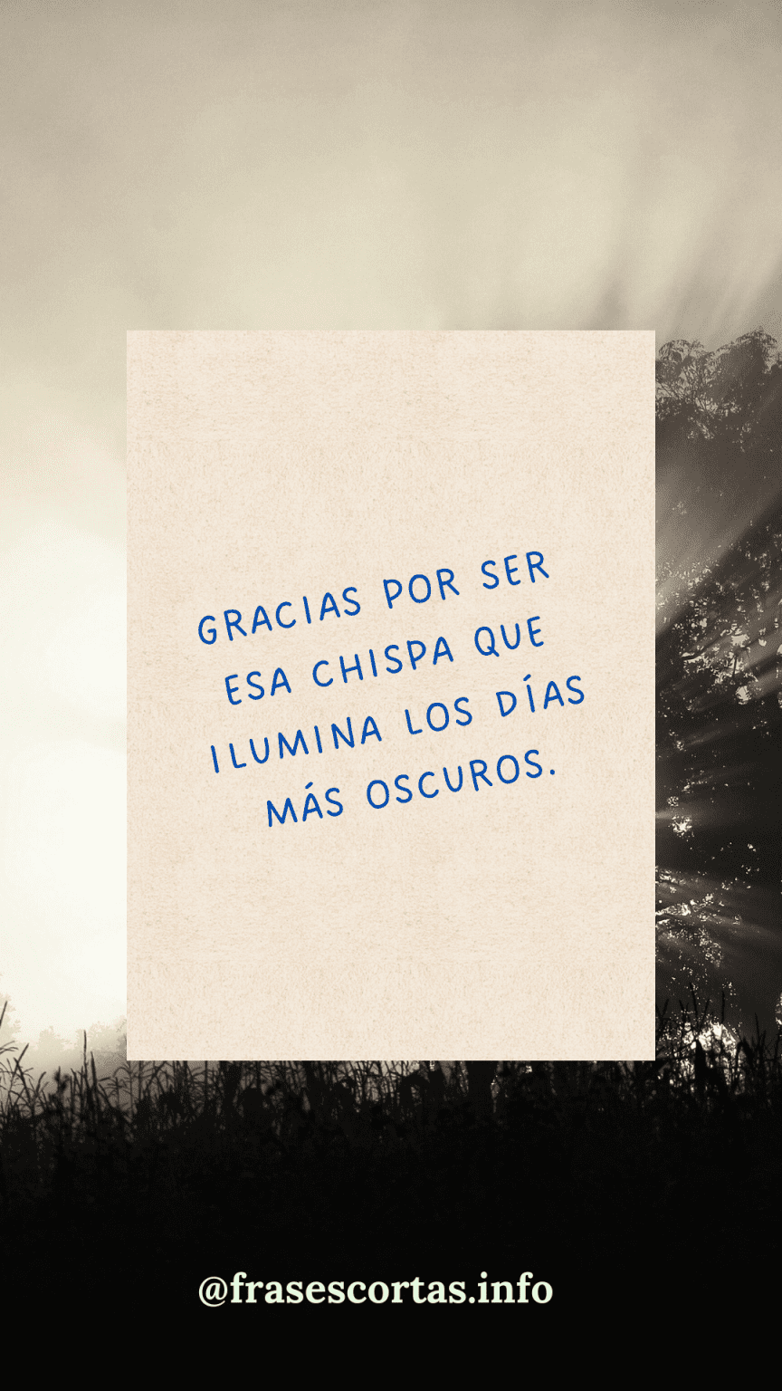 300 Frases de agradecimiento cortas para dar las gracias