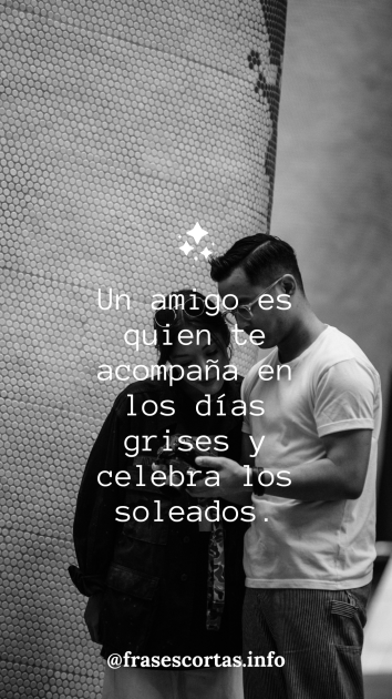 Una frase de amistad corta para compartir en redes sociales y otros medios.