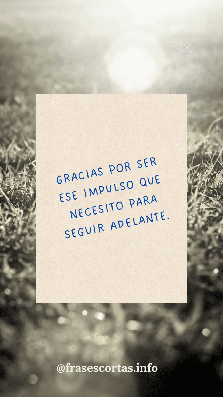300 Frases de agradecimiento cortas para dar las gracias