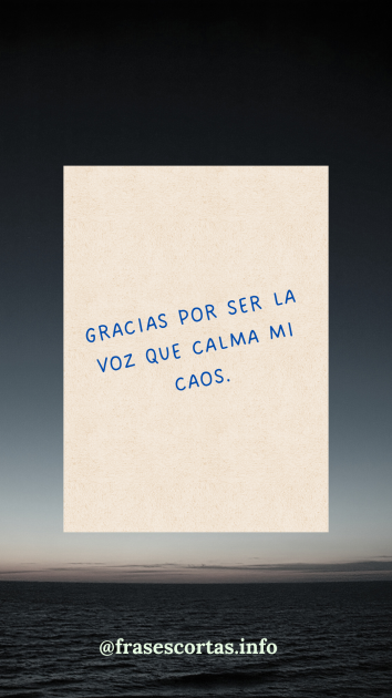 Una imagen con una frase de agradecimiento corta.